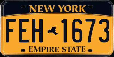 NY license plate FEH1673