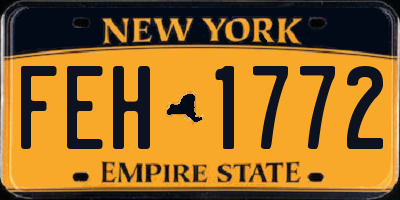 NY license plate FEH1772