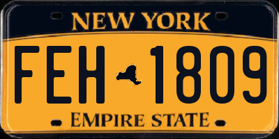 NY license plate FEH1809