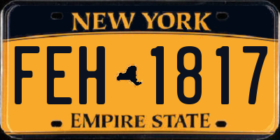 NY license plate FEH1817