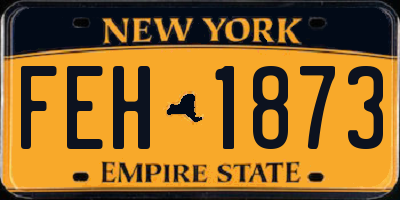 NY license plate FEH1873