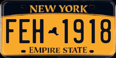 NY license plate FEH1918