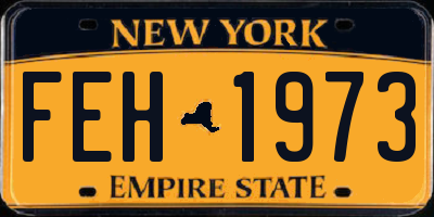 NY license plate FEH1973