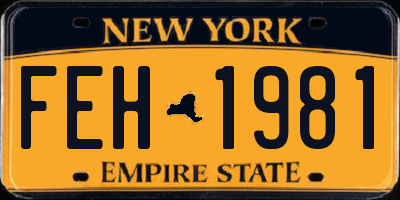 NY license plate FEH1981