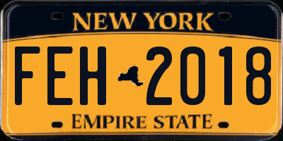 NY license plate FEH2018