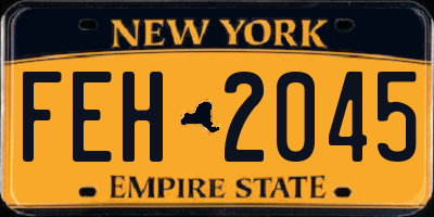 NY license plate FEH2045
