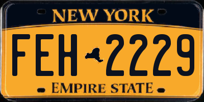 NY license plate FEH2229