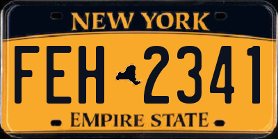 NY license plate FEH2341