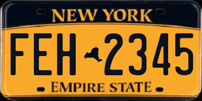 NY license plate FEH2345