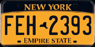 NY license plate FEH2393
