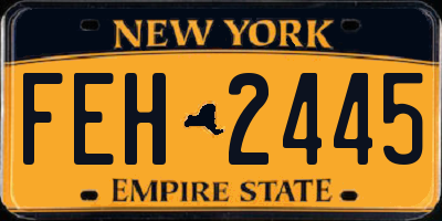 NY license plate FEH2445