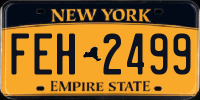 NY license plate FEH2499