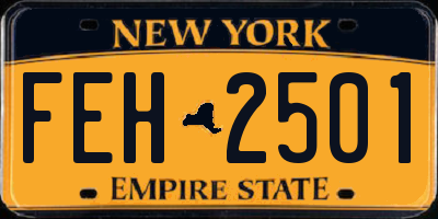NY license plate FEH2501