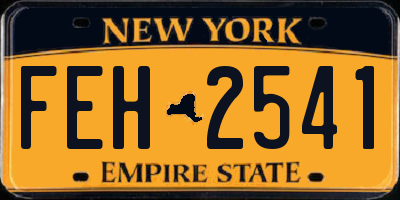 NY license plate FEH2541