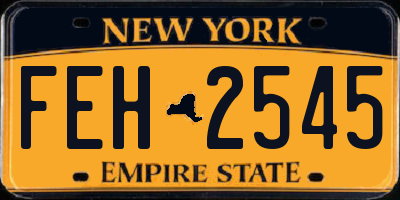 NY license plate FEH2545
