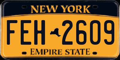 NY license plate FEH2609