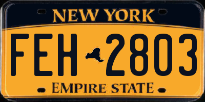 NY license plate FEH2803