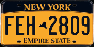 NY license plate FEH2809