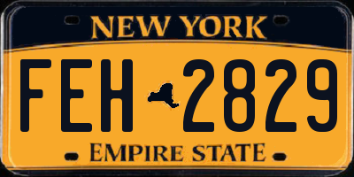 NY license plate FEH2829