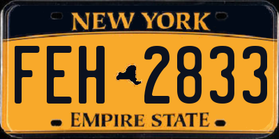 NY license plate FEH2833