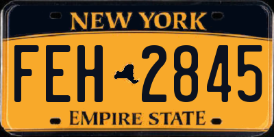 NY license plate FEH2845