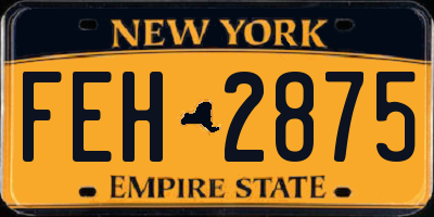 NY license plate FEH2875