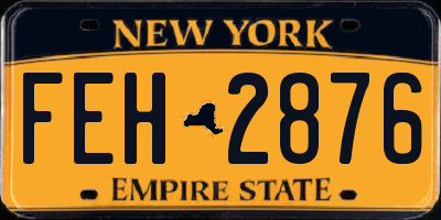 NY license plate FEH2876