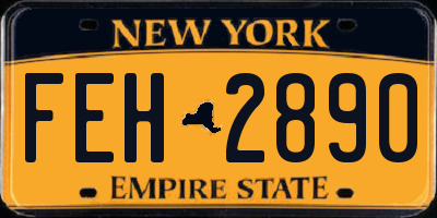 NY license plate FEH2890