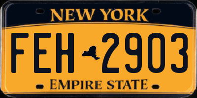 NY license plate FEH2903