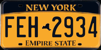 NY license plate FEH2934
