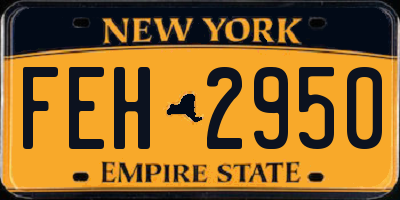 NY license plate FEH2950