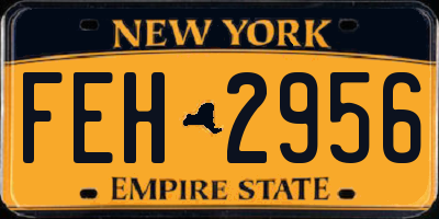 NY license plate FEH2956