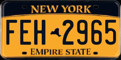 NY license plate FEH2965