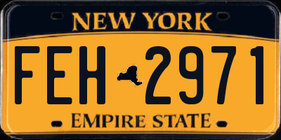 NY license plate FEH2971