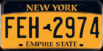 NY license plate FEH2974