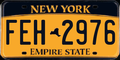 NY license plate FEH2976
