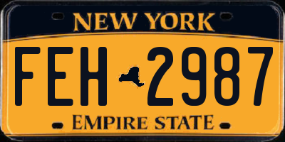 NY license plate FEH2987
