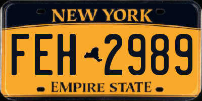 NY license plate FEH2989