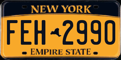 NY license plate FEH2990