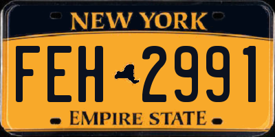 NY license plate FEH2991