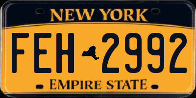 NY license plate FEH2992