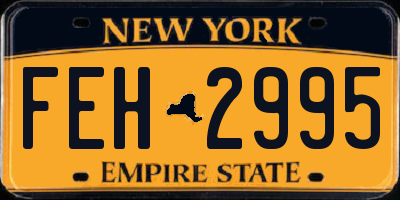 NY license plate FEH2995
