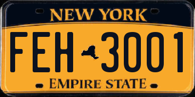 NY license plate FEH3001