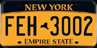 NY license plate FEH3002