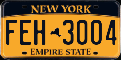 NY license plate FEH3004
