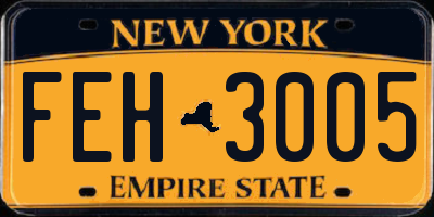 NY license plate FEH3005