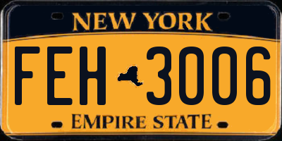 NY license plate FEH3006