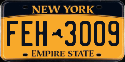 NY license plate FEH3009