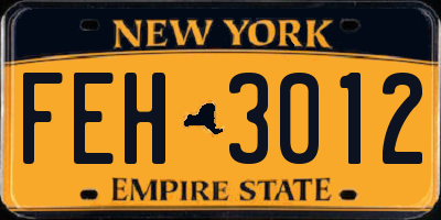 NY license plate FEH3012
