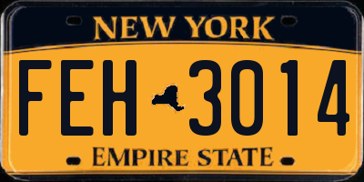 NY license plate FEH3014
